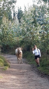 RUTA PENA ABALADOIRA