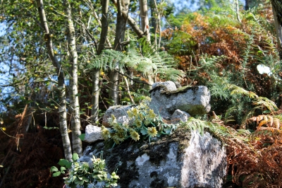 CRUZ DE AUGA LONGA