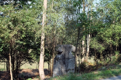 CRUZ DE CARROCIDE