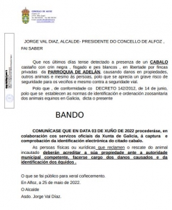 BANDO DE ALCALDÍA: CABALLO EN LIBERTAD EN ADELÁN