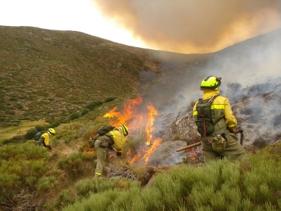 OFERTA DE CONTRATACIÓN PARA BRIGADA DE INCENDIOS