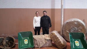 CELEBRADA LA ÚLTIMA JORNADA DE LAS III OLIMPIADAS INTERPARROQUIALES DE ALFOZ