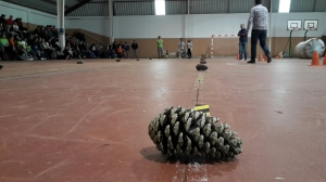 CELEBRADA LA ÚLTIMA JORNADA DE LAS III OLIMPIADAS INTERPARROQUIALES DE ALFOZ