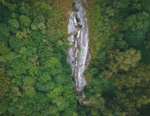 PREMIOS II CONCURSO DE FOTOGRAFÍA "ALFOZ EN PRIMAVERA"