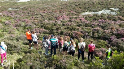 RUTA PENA ABALADOIRA