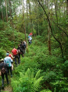 RUTA FERVENZA DO ESCOURIDAL