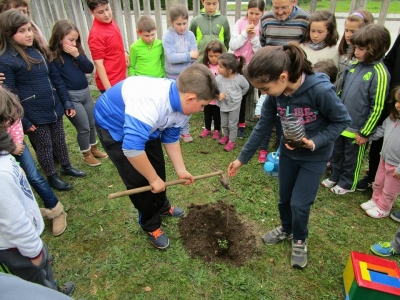 SEMANA DA &Aacute;RBORE EN ALFOZ
