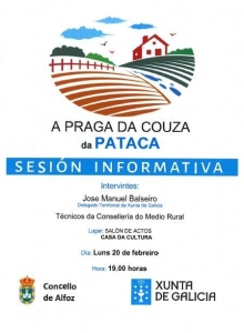 SESI&Oacute;N INFORMATIVA SOBRE A PRAGA DA PATACA